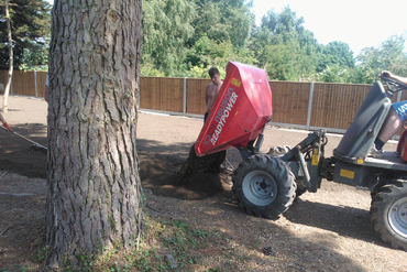 Turf Laying Project