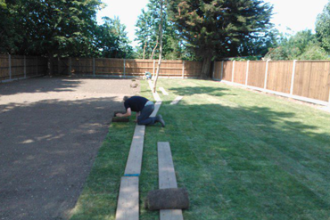 Turf Laying Project